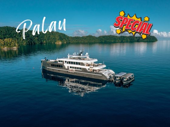 【Jun-Oct 2026 PROMOTION】Palau Liveaboard 9D8N - MY Black Pearl 